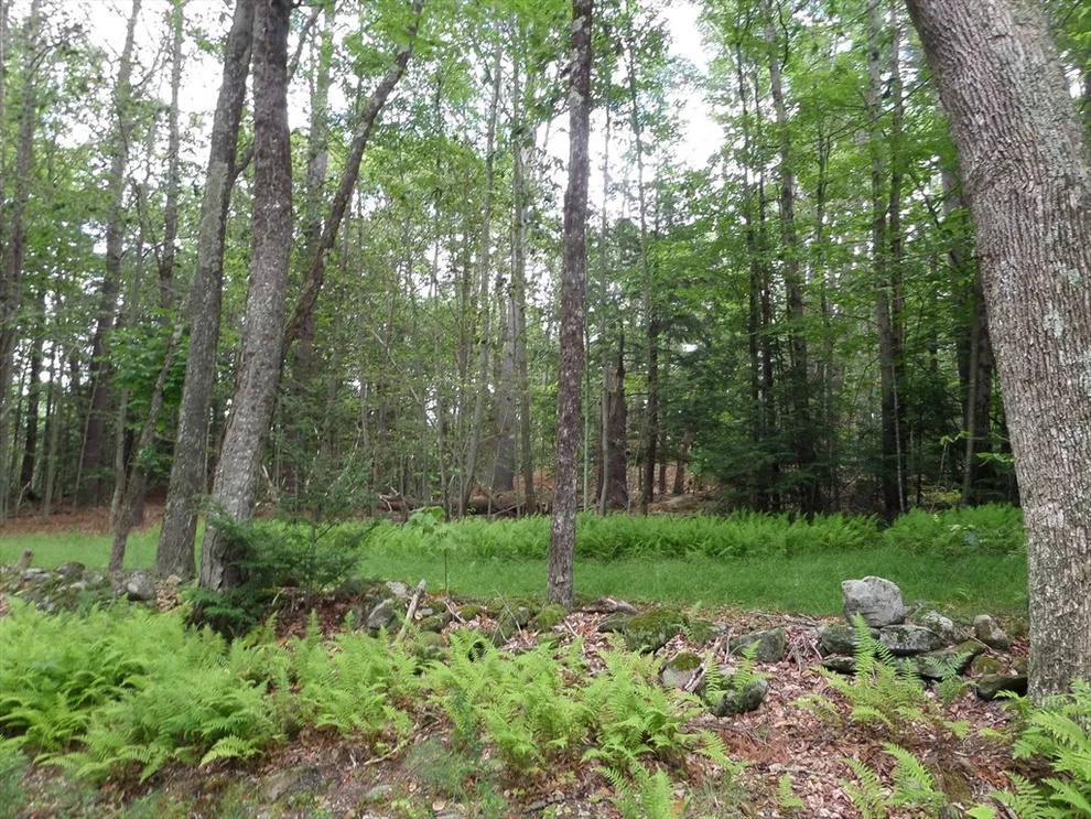 Unit for sale at 0 Pynchon Rd, Chesterfield, MA 01012