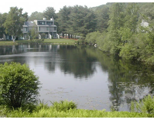 Unit for sale at 117 Millpond, North Andover, MA 01845