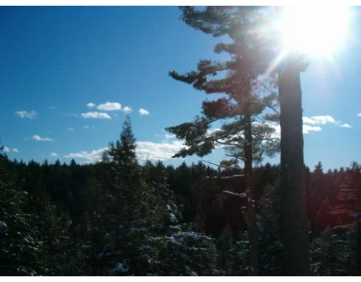 Unit for sale at 350 Shutesbury Road, Leverett, MA 01054