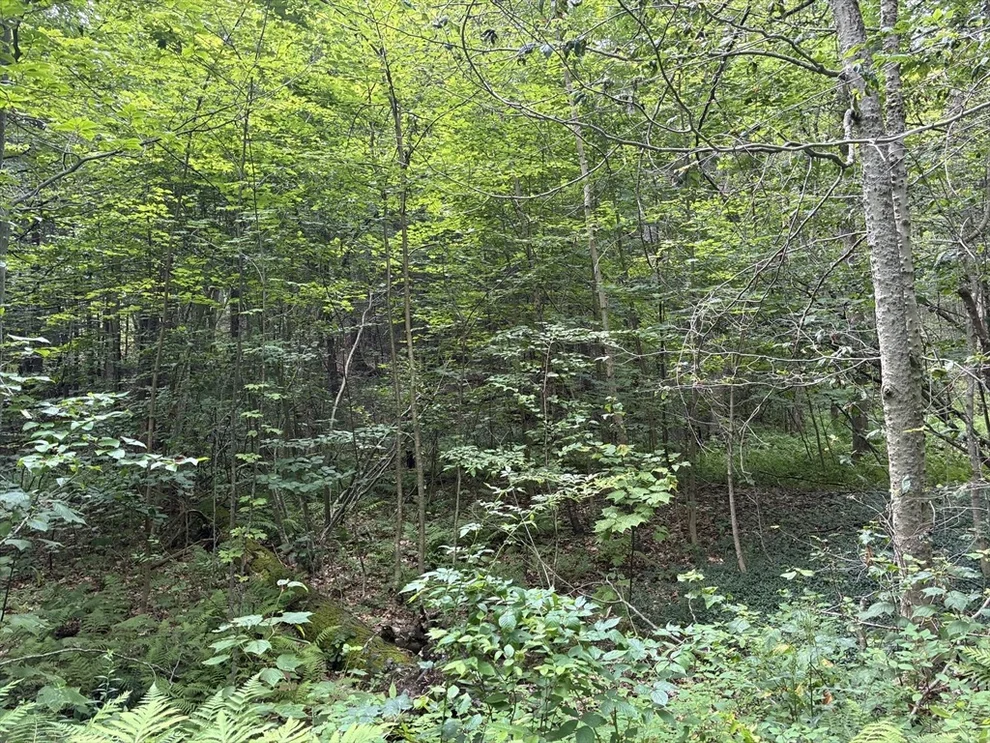 Unit for sale at 139 Taylor Brook Rd, Heath, MA 01346