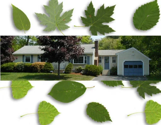 Unit for sale at 14 Marychris Drive, Hudson, MA 01749