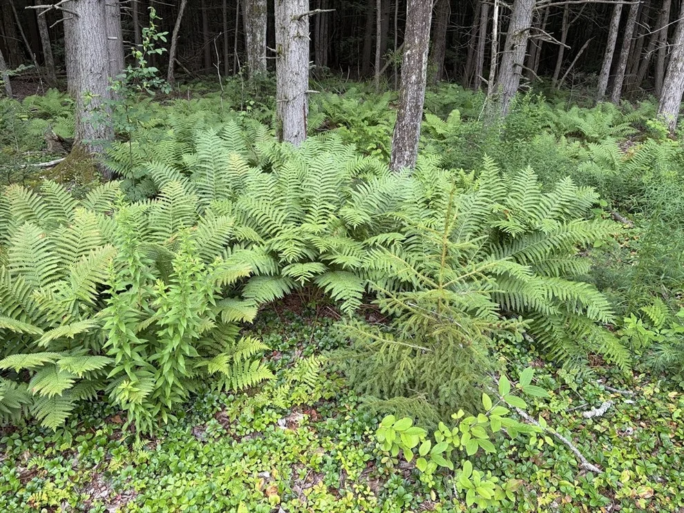 Unit for sale at 0 Sixth, Templeton, MA 01436