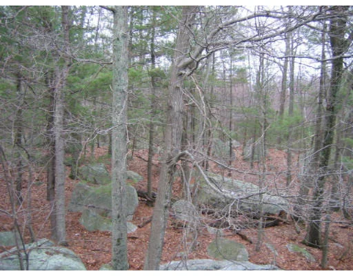 Unit for sale at 5 Shadowbrook Lane, Milford, MA 01757