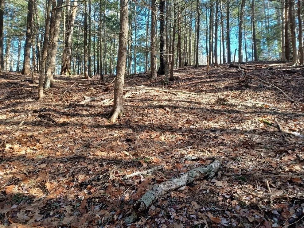 Unit for sale at 296 Northwest Road, Westhampton, MA 01027