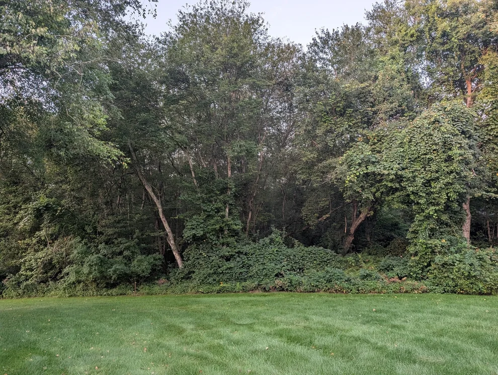 Unit for sale at 139 Meadow Brook Lane, Westport, MA 02790