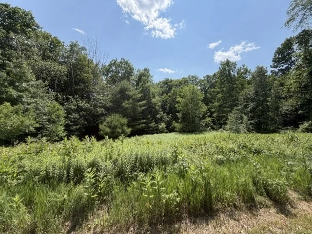 Unit for sale at 25 Deer Run, Becket, MA 01223