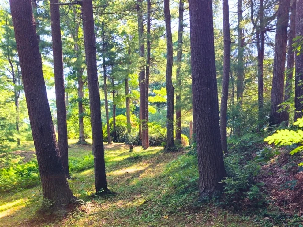 Unit for sale at 0 Nel Bonney Road, Plympton, MA 02367