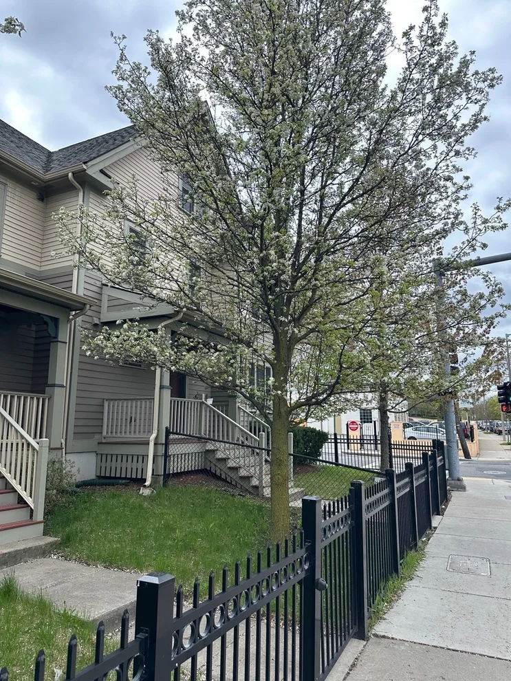 Unit for sale at 2856 Washington Street, Boston, MA 02119