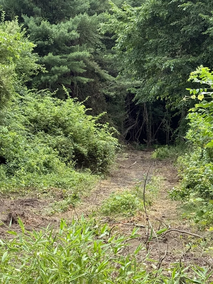 Unit for sale at Lot 1 Rocky Meadow Street, Middleboro, MA 02346