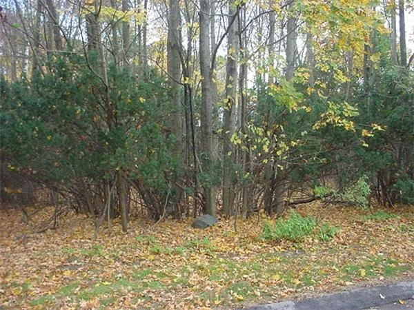 Unit for sale at 3 Middle St, Natick, MA 01760