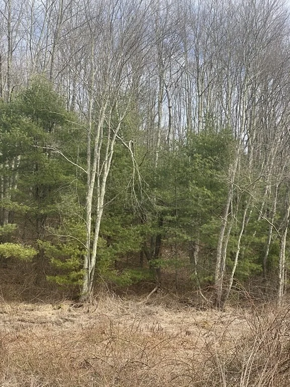 Unit for sale at 65 Birch Hill Rd, West Brookfield, MA 01585
