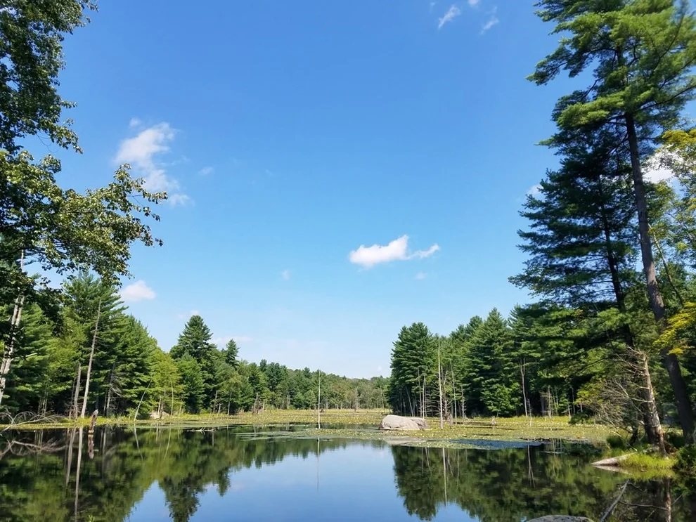 Unit for sale at 266 Holland Rd, Sturbridge, MA 01518