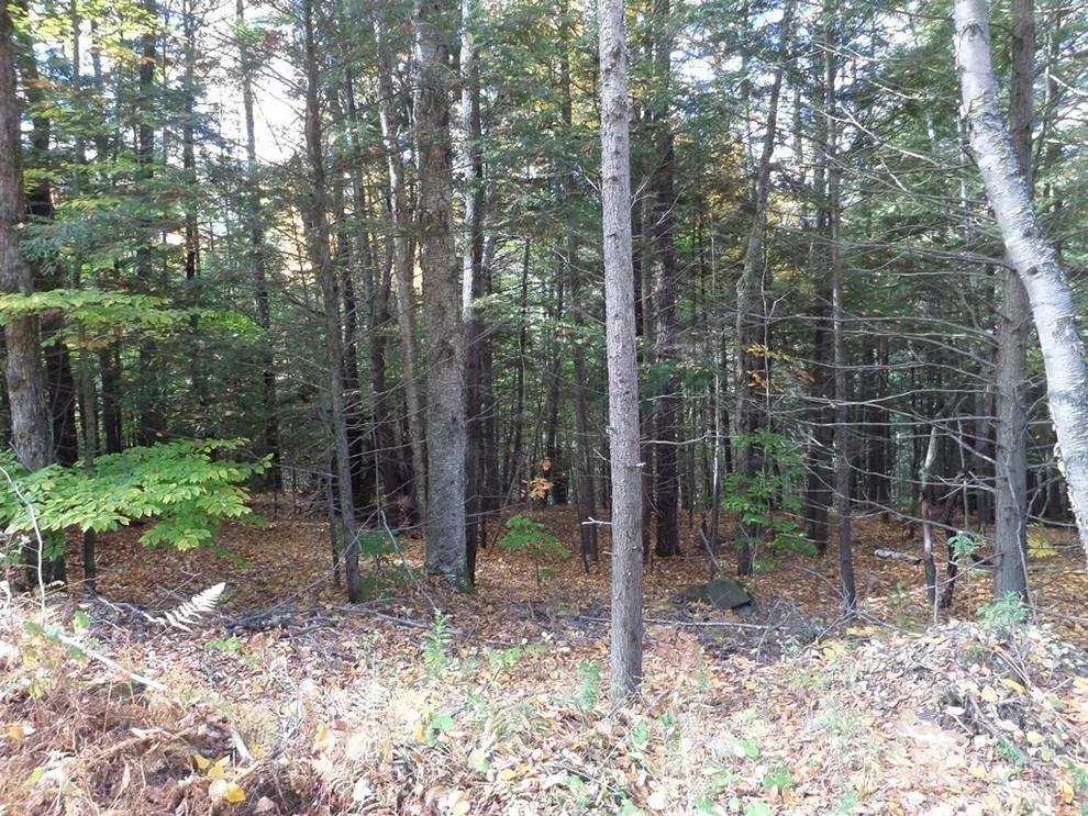 Unit for sale at 0 Thayer Hill Rd, Worthington, MA 01098