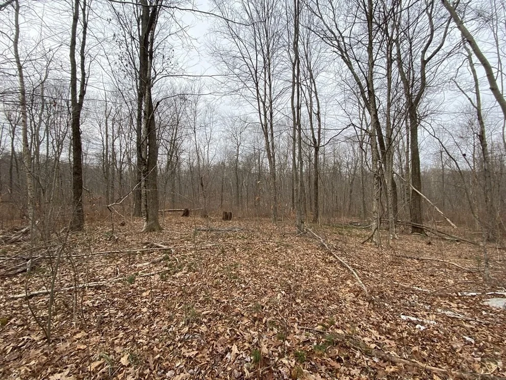 Unit for sale at Lot 169-22 Beebe Rd, Monson, MA 01057