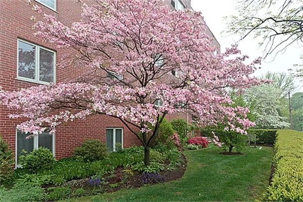 Unit for sale at 114 Pleasant St, Arlington, MA 02476