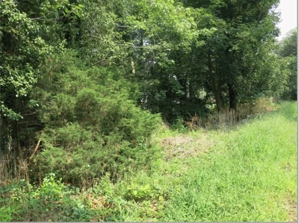 Unit for sale at 0 Mount Blue St, Norwell, MA 02061