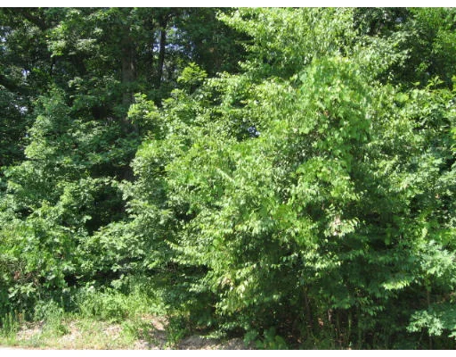 Unit for sale at 18 Steele Rd, Hopedale, MA 01747