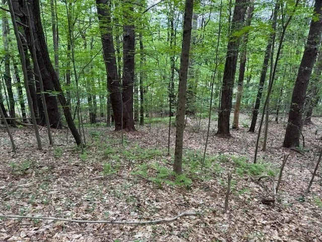 Unit for sale at 56 Brattleboro Rd, Bernardston, MA 01337