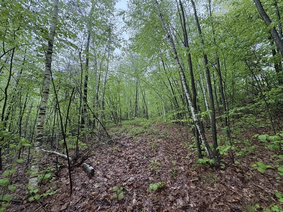 Unit for sale at TBD Lower Road, Deerfield, MA 01342