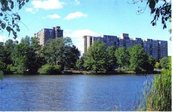 Unit for sale at 77 Pond Avenue, Brookline, MA 02445