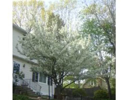Unit for sale at 8 Topsfield Road, Worcester, MA 01605