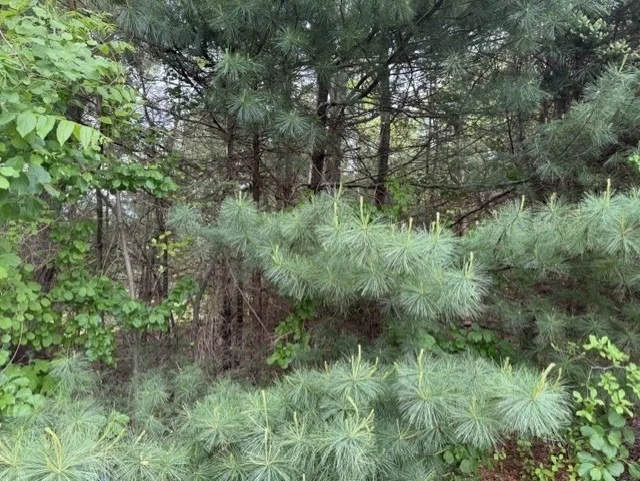Unit for sale at 0 Marina Dr, Mattapoisett, MA 02739