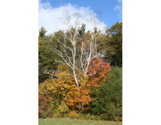 Unit for sale at Lot 1 North Lane, Granville, MA 01034