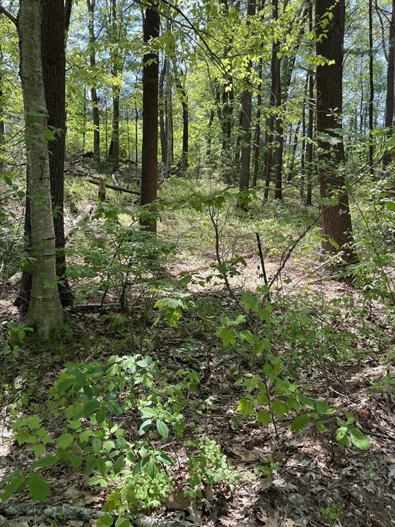 Unit for sale at Lot A-2 Durkee Lane, Westford, MA 01886