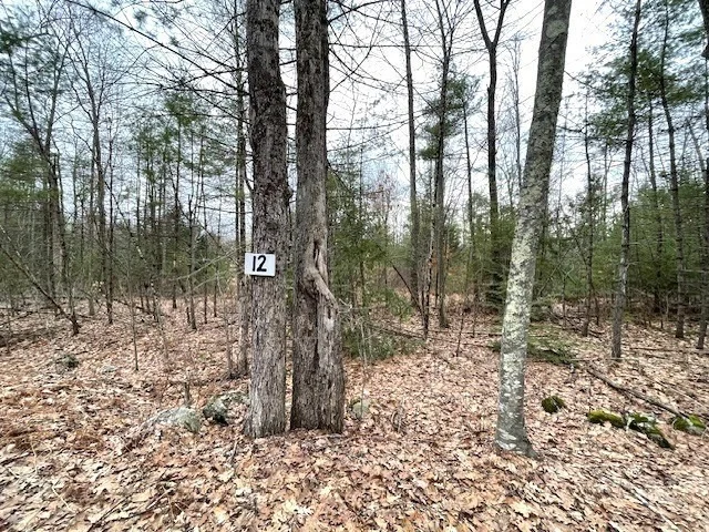 Unit for sale at 12-L New Athol Rd, Petersham, MA 01366