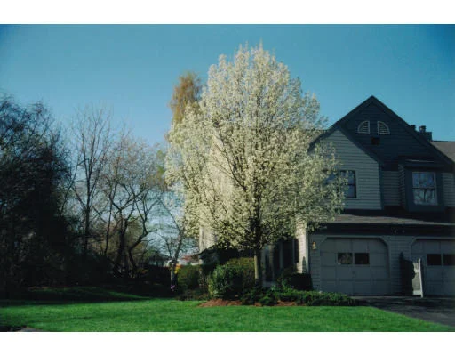 Unit for sale at 65 Crystal Brook Way, Marlborough, MA 01752