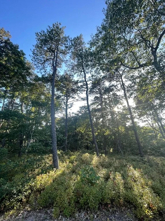 Unit for sale at 30 Sam Hollow Road, Wellfleet, MA 02667