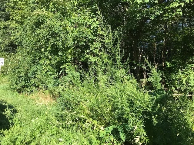 Unit for sale at 145 Winthrop St, Rehoboth, MA 02769