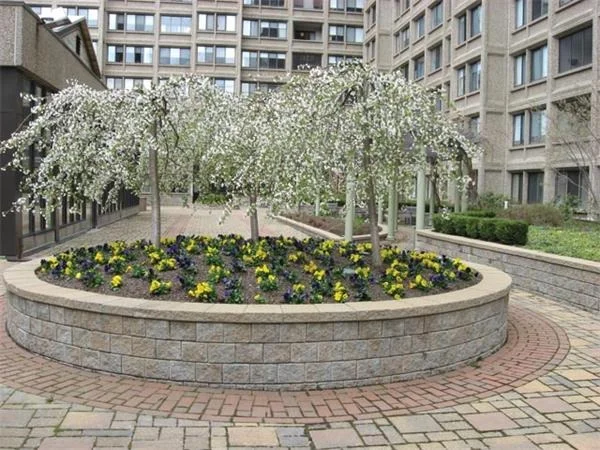 Unit for sale at 1731 Beacon St, Brookline, MA 02445