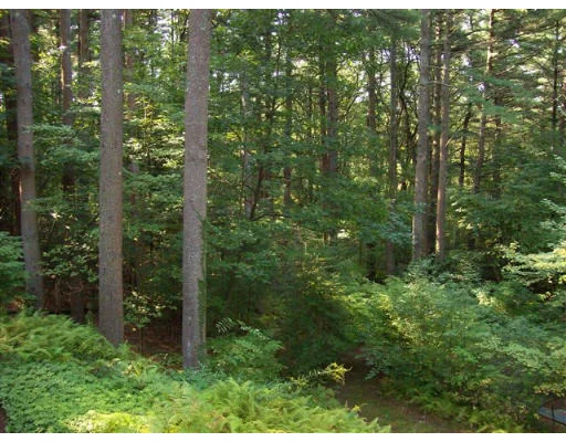 Unit for sale at 51 Fairview Road, Weston, MA 02493