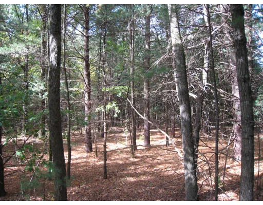 Unit for sale at 114 Lexington Road, Lincoln, MA 01773