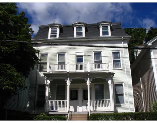 Unit for sale at 113 Chestnut Ave, Boston, MA 02130
