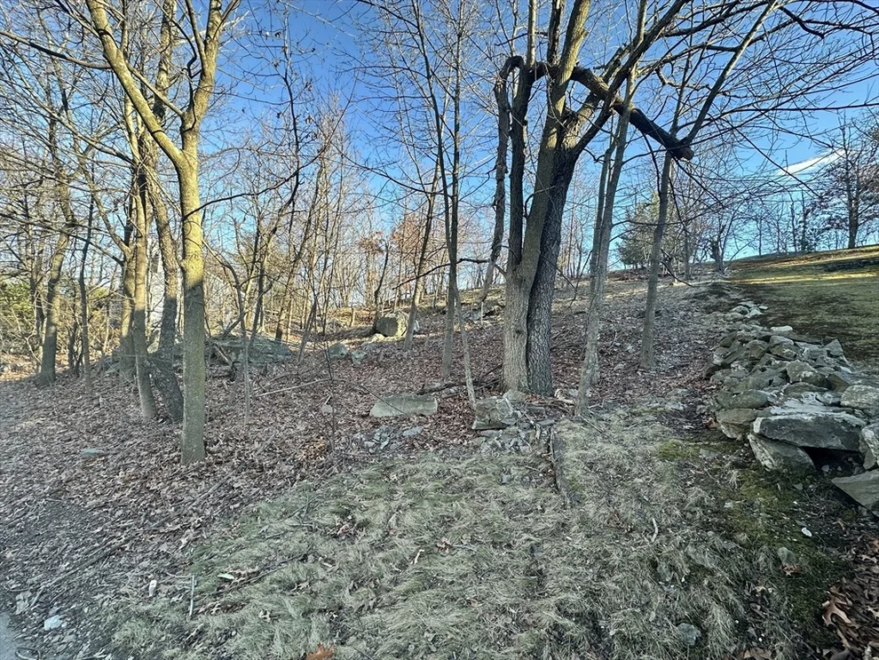Unit for sale at 0 Vfw Parkway, Boston, MA 02132