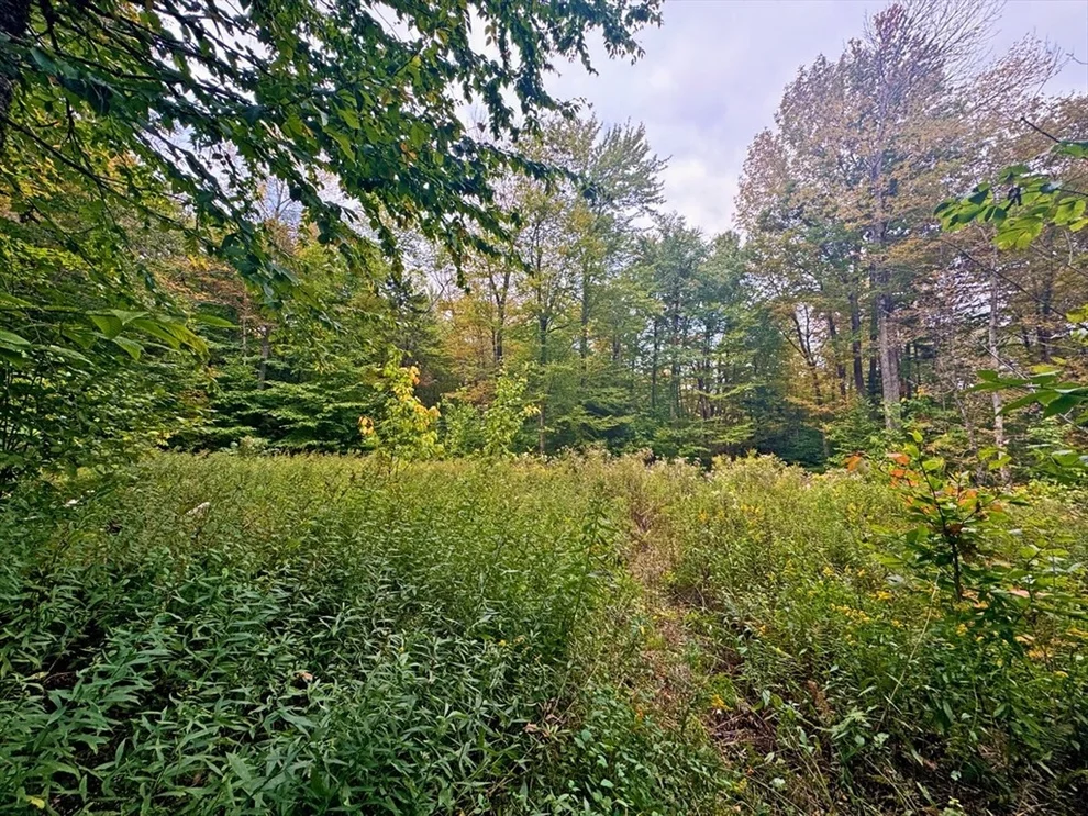 Unit for sale at 60 Stone Hill Road, Rowe, MA 01367