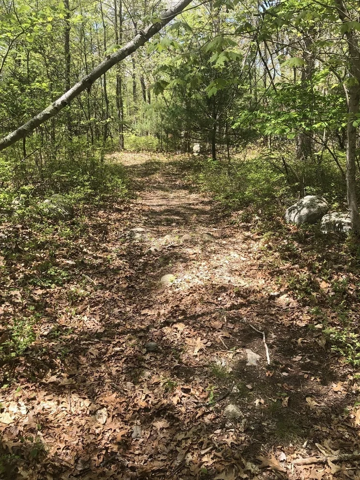 Unit for sale at 451R Gilbert, Mansfield, MA 02048