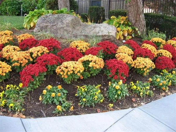 Unit for sale at 1731 Beacon St, Brookline, MA 02445