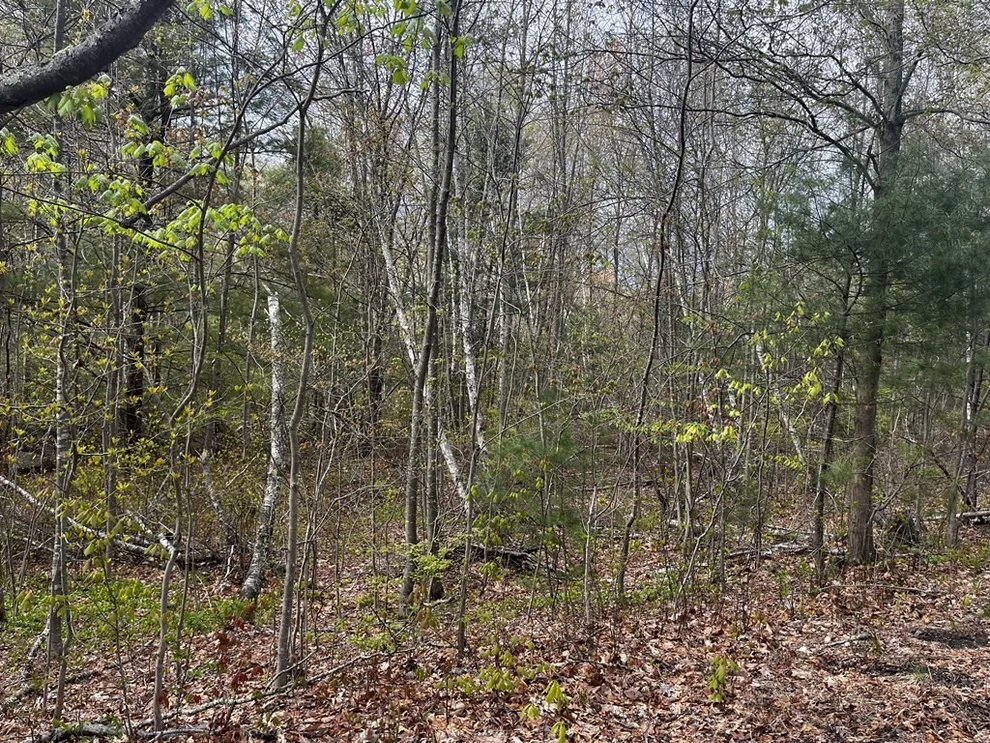 Unit for sale at 27 Pleasant St. Lot 1, Mendon, MA 01756