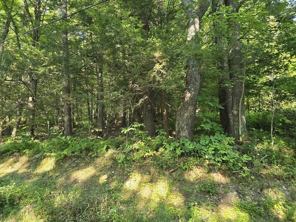 Unit for sale at 0 Legate Hill Rd, Charlemont, MA 01338