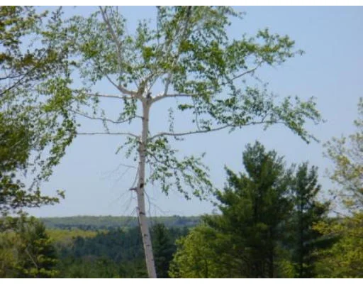 Unit for sale at Lot 12 Jason's Way, Belchertown, MA 01007