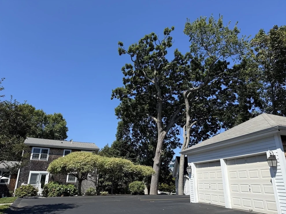 Unit for sale at 55 Lyons St, Quincy, MA 02169