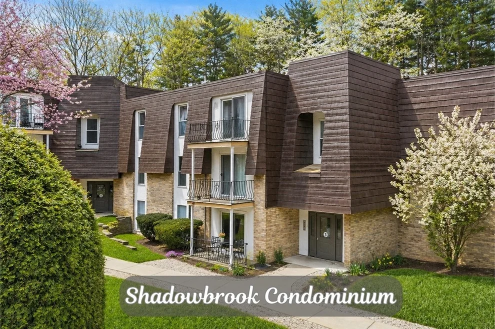 Unit for sale at 3 Shadowbrook Ln, Milford, MA 01757