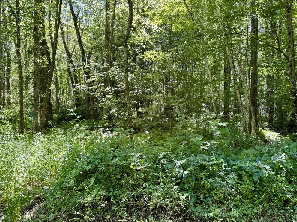 Unit for sale at Lot 2 Greenville Street, Spencer, MA 01562