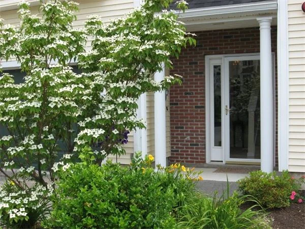Unit for sale at 8 Groveland Commons Way, Groveland, MA 01834