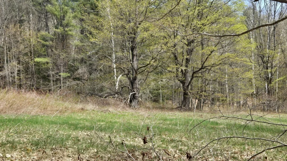 Unit for sale at 0 West Branch Road, Heath, MA 01346