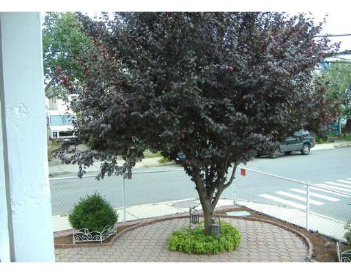 Unit for sale at 342 Lowell Street, Somerville, MA 02145