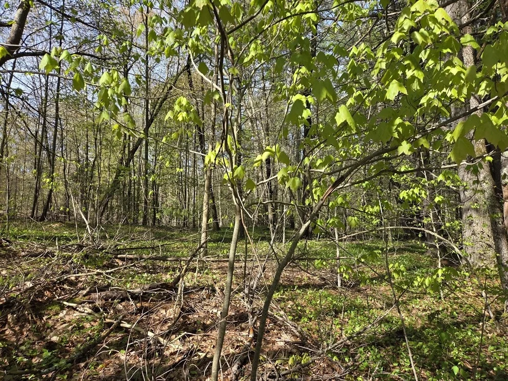 Unit for sale at Lot 12W Chicopee Drive, Hubbardston, MA 01452